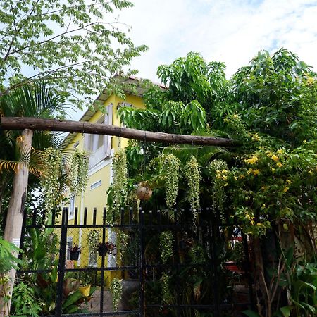 Homestay Yellow Natural House Siem Reap Exterior photo