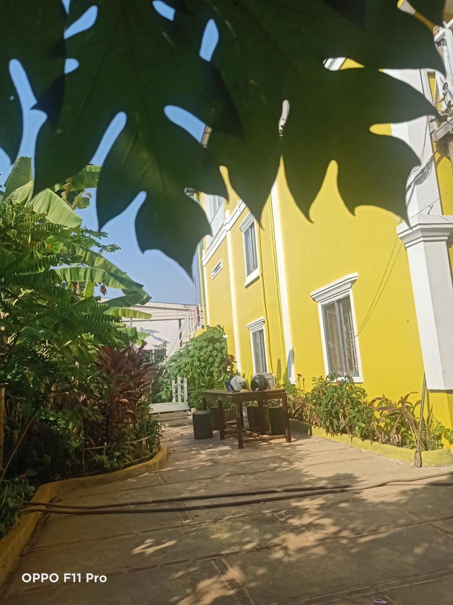Homestay Yellow Natural House Siem Reap Exterior photo