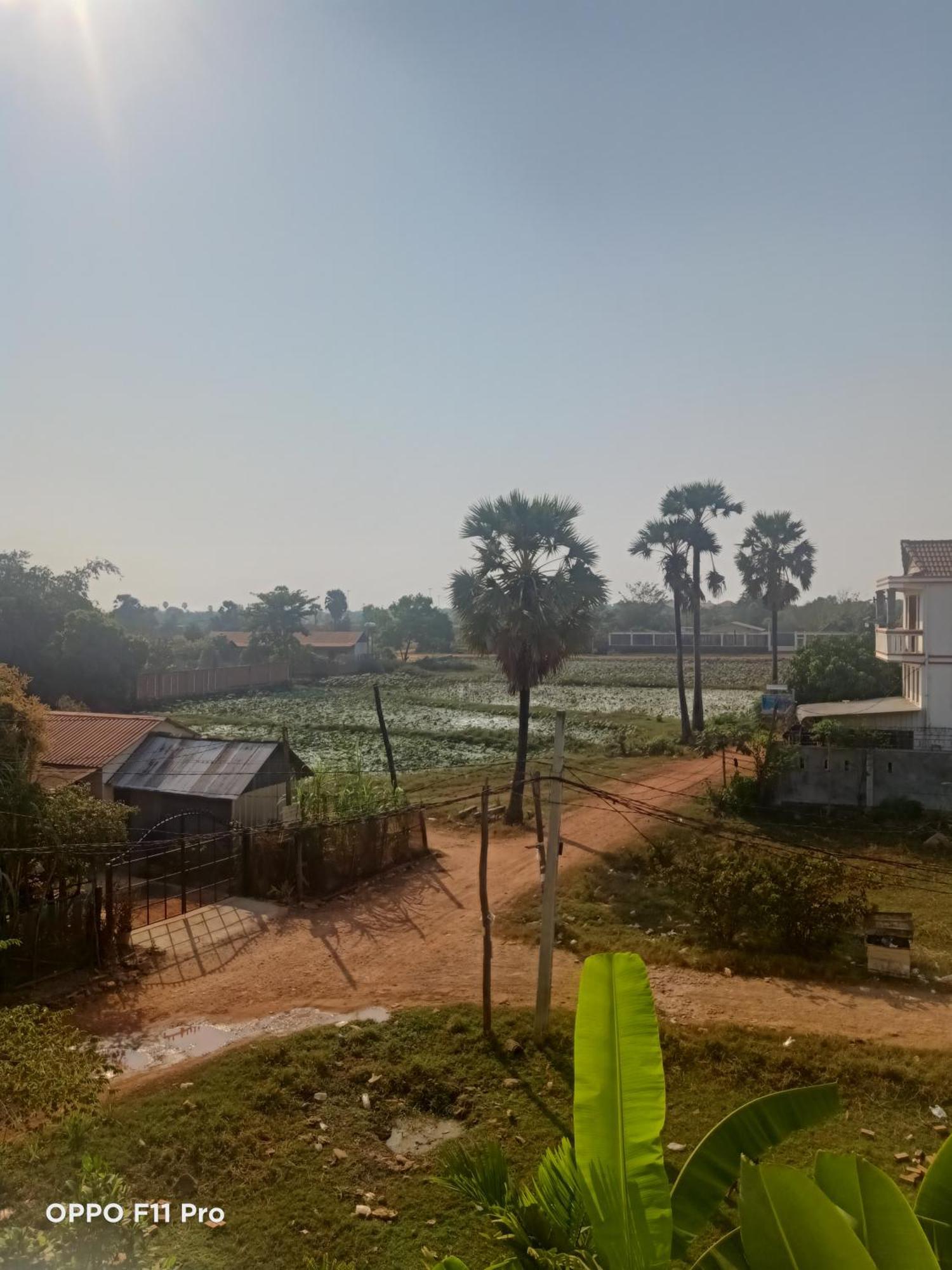 Homestay Yellow Natural House Siem Reap Exterior photo