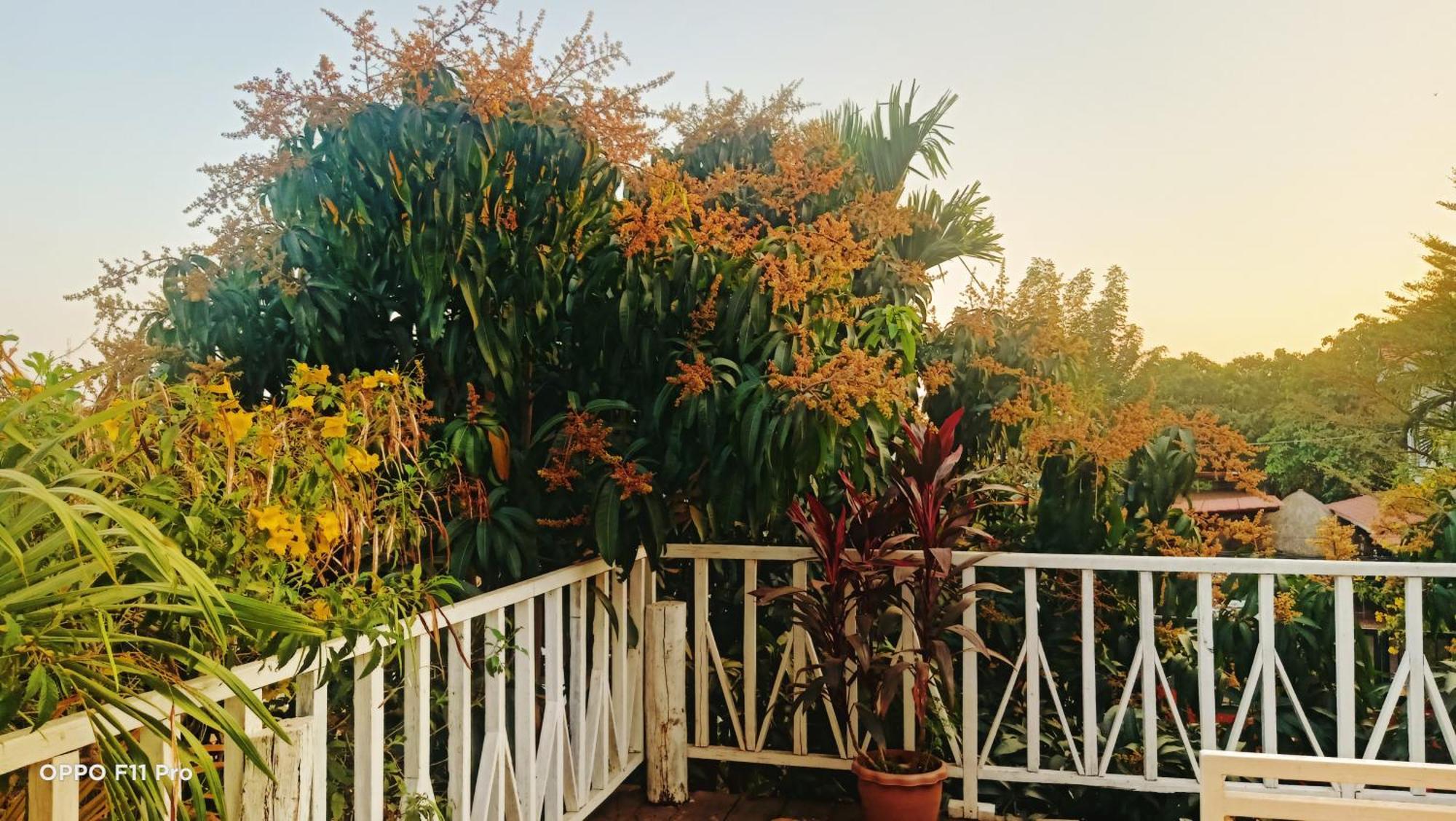 Homestay Yellow Natural House Siem Reap Exterior photo