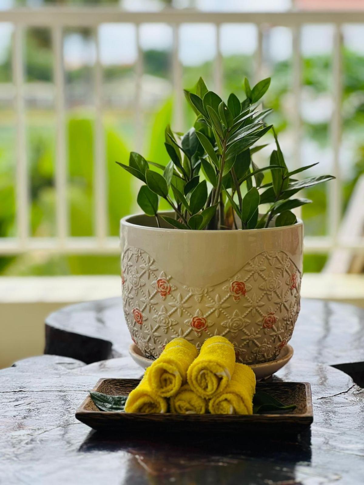 Homestay Yellow Natural House Siem Reap Exterior photo
